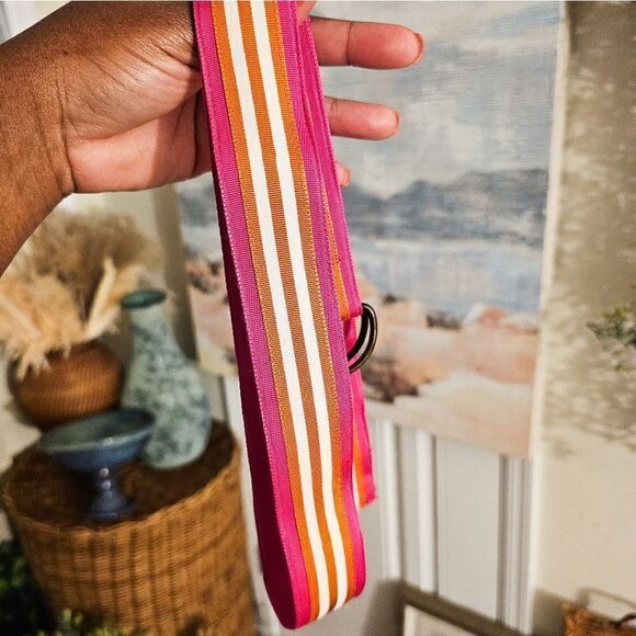 J. Crew Preppy Grosgrain Ribbon Silver D. Ring Belt. - Picture 7 of 15